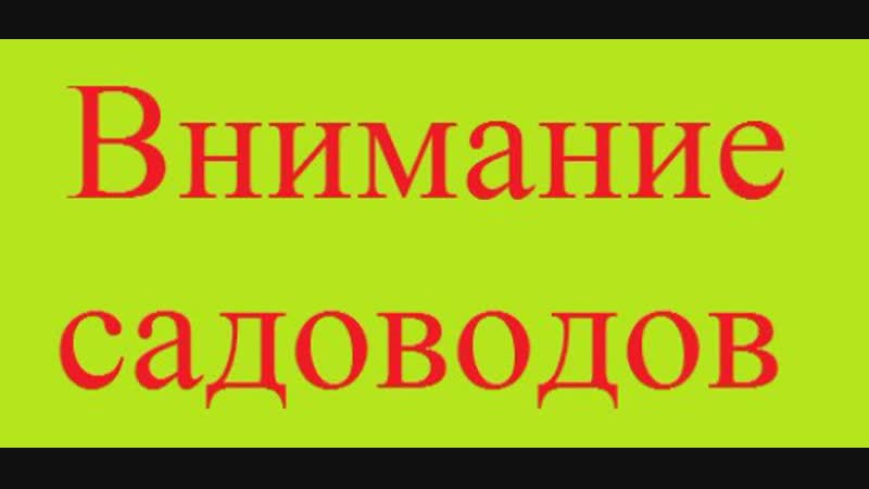 Объявление